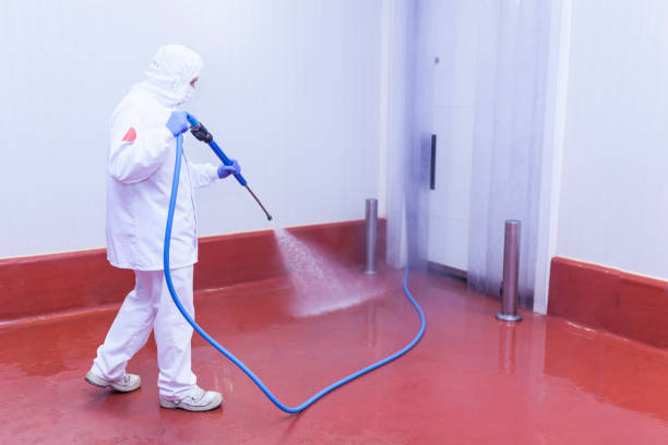 Best Warehouse Floor Cleaning in Koloa, HI